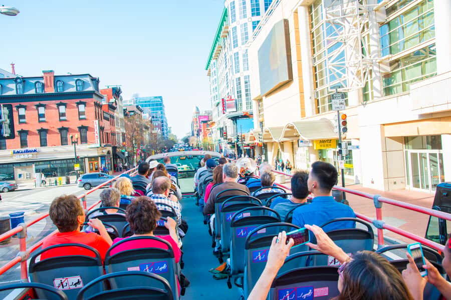 Best of DC: Hop-on Hop-off Bus Tour & Night Tour (Save 40%) - Who This Tour Suits Best