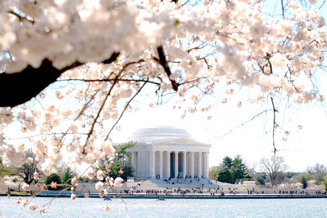 Cherry Blossom & Monuments Tour with Washington Monument, Museums - Passing the National Archives, National Mall, and More: Why the Drive-By Still Matters