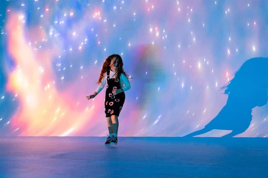 DC: All Creation Sings- Museum of the Bible Exhibition Entry - Price and value: is $49 worth it?