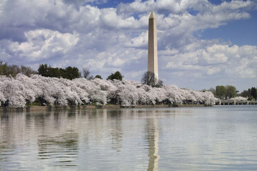 DC Bus Tour with Optional Washington Monument or Air & Space - How This 3-Hour DC Monuments Bus Tour Really Works