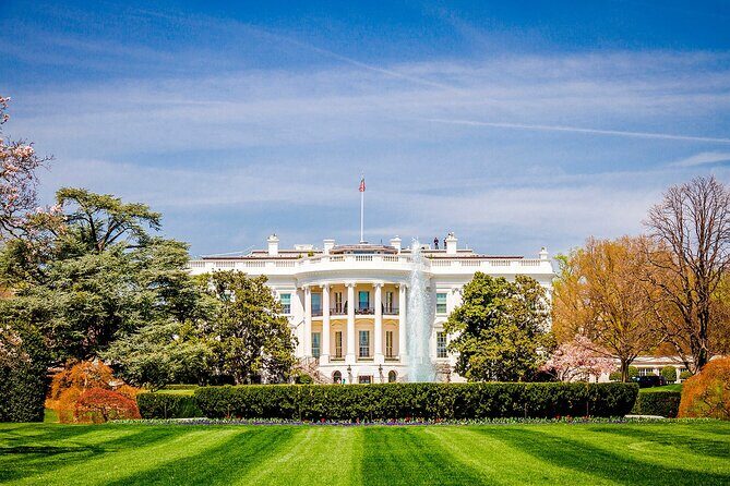 DC Highlight Day Tour - A 3–4 Hour Primer for First-Time DC Days
