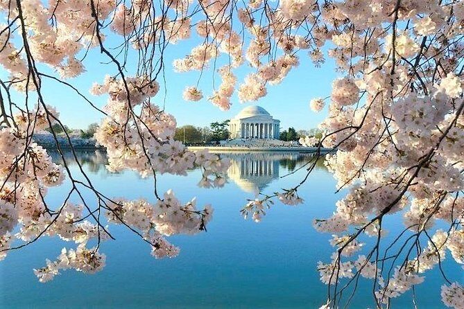 Discover DC Private Tour – (Up to 12 Guests) - Military memorials in a row: Korean War, Marine Corps, Air Force, Vietnam