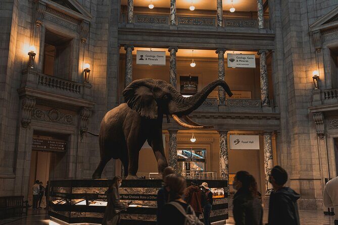 Essential Smithsonian Tour with NMAAHC Timed Entry - Stop 1 at the Natural History Museum: the perfect “wow” opening
