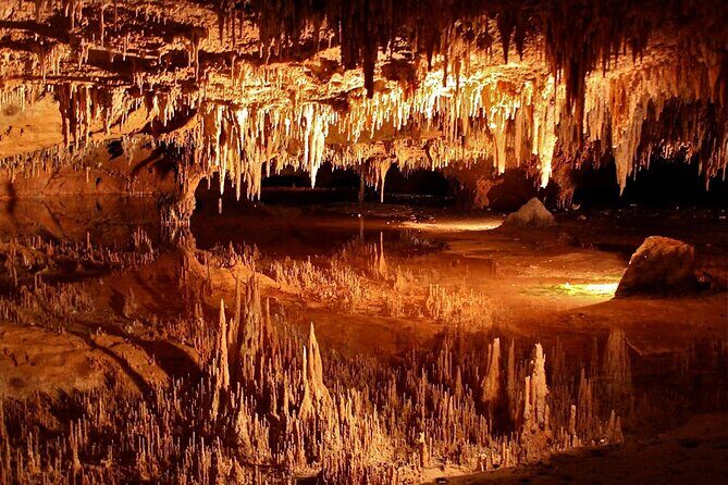 Luray Caverns and Shenandoah Small Group Max 12 Day Tour from D.C - Key Highlights to Expect