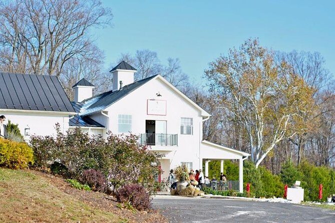 Northern Virginia Private Custom Wine Tour and Tasting from DC - Who This Tour Fits Best