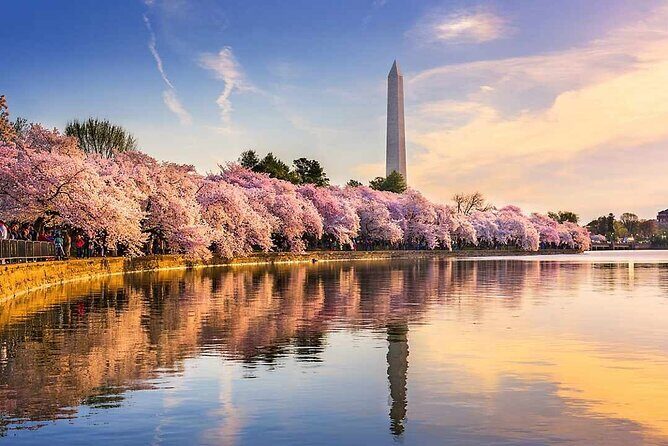 NYC to D.C Day Trip: Thomas Jefferson Memorial to Cherry Blossoms - A smooth New York to DC day, with monuments as the main event
