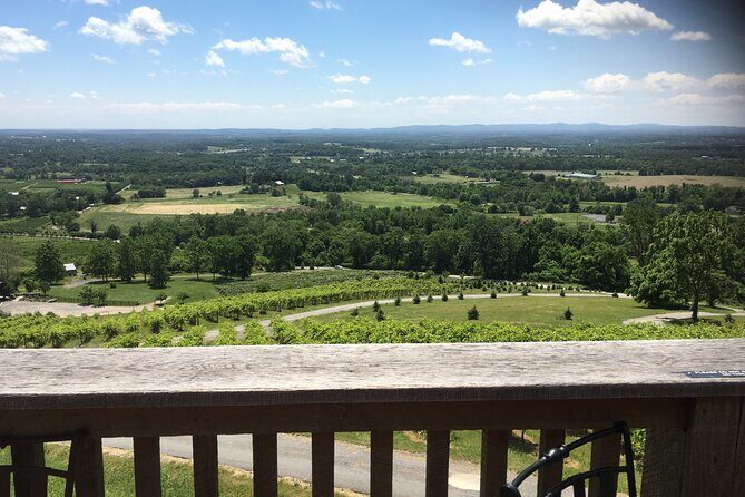 Private Loudoun County Wine Tour from DC with 3 Winery Stops - Who this tour is best for (and who should think twice)