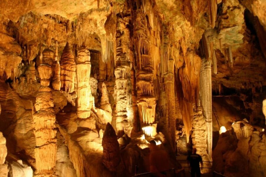 Shenandoah and Luray Caverns Small Group Tour from DC - Who should book this day trip—and who should skip it