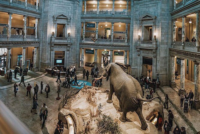 Smithsonian Museum of Natural History - Exclusive Guided Tour - Why this Smithsonian tour works so well in 2 hours