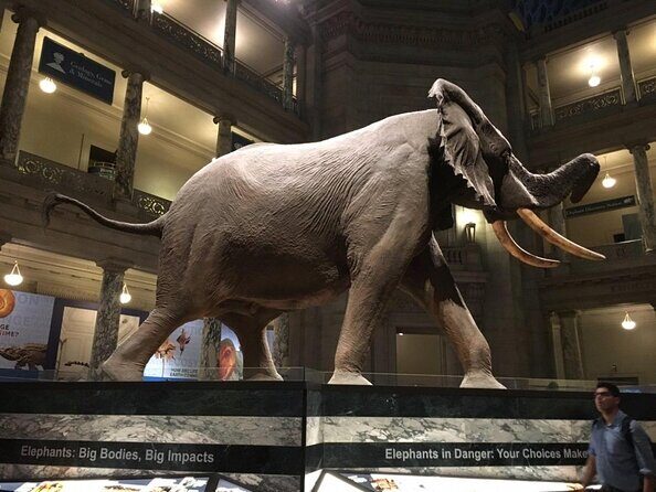 Smithsonian Natural History + American History - Exclusive Tour - Key things to know before you go