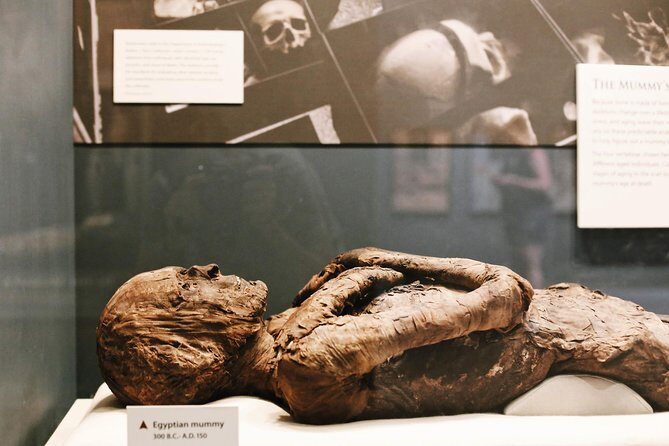 Smithsonian Natural History + Museum of American History 8ppl Max - Practical Museum Tips: Bags, Security, Quiet Rooms, and Lines