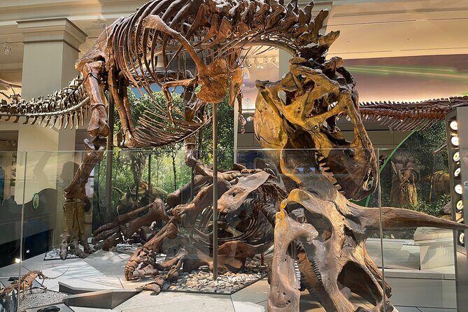 Smithsonian Natural History Museum Semi-Private Guided Tour - A semi-private Smithsonian route that doesn’t waste your time