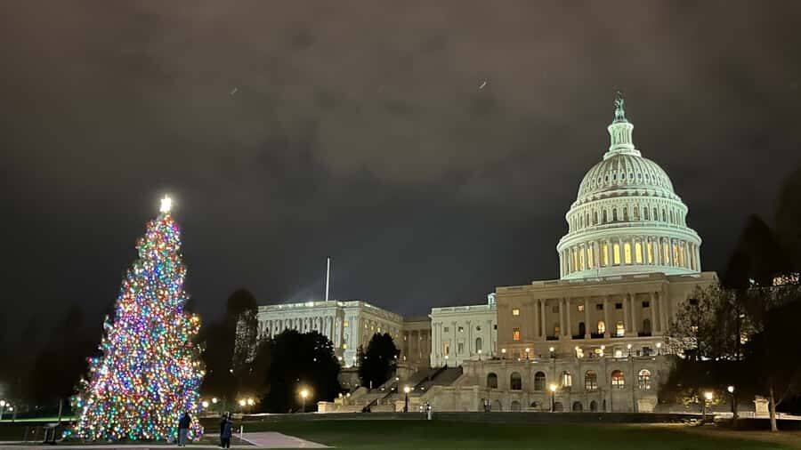Washington, DC: Christmas Tree & Holiday Lights Bus Tour - Willard Hotel: classic DC holiday decor and carolers