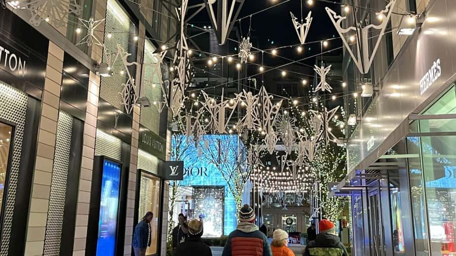 Washington, DC: Christmas Tree & Holiday Lights Bus Tour - Price and timing: is $60 worth it for 2.5 hours?