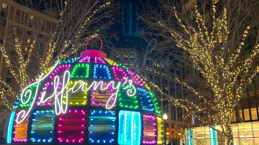 Washington, DC: Christmas Tree & Holiday Lights Bus Tour - Small logistics that can make or break your evening