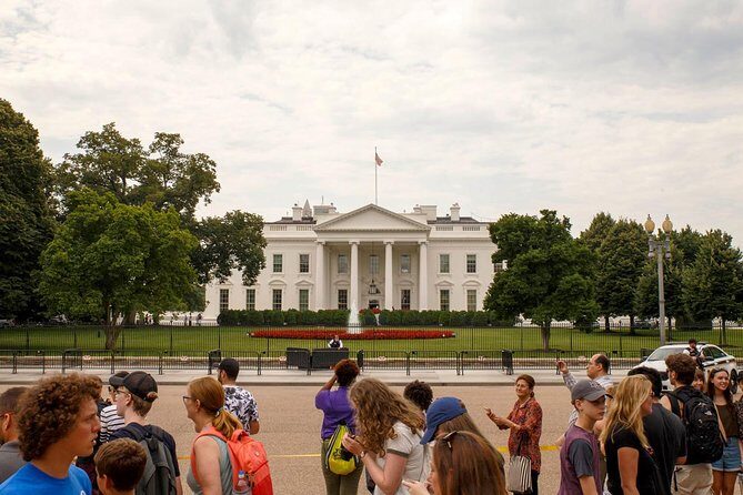 Washington DC Highlights Tour with Top Landmarks and Memorials - The Guides, the Humor, and Why It Feels Like More Than a Sightseeing Bus