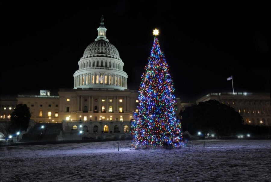 Washington, DC: Holiday Lights Nighttime Bus Tour - Should You Book This Washington DC Holiday Lights Nighttime Bus Tour?