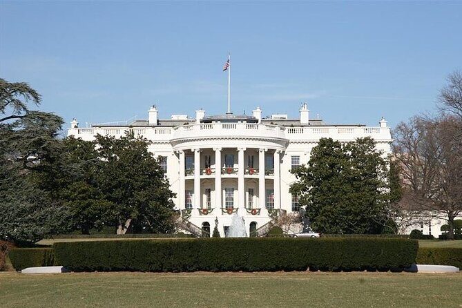Washington DC Legend Private Cart Shuttle Tour - The guide experience: language options and on-the-ground flexibility