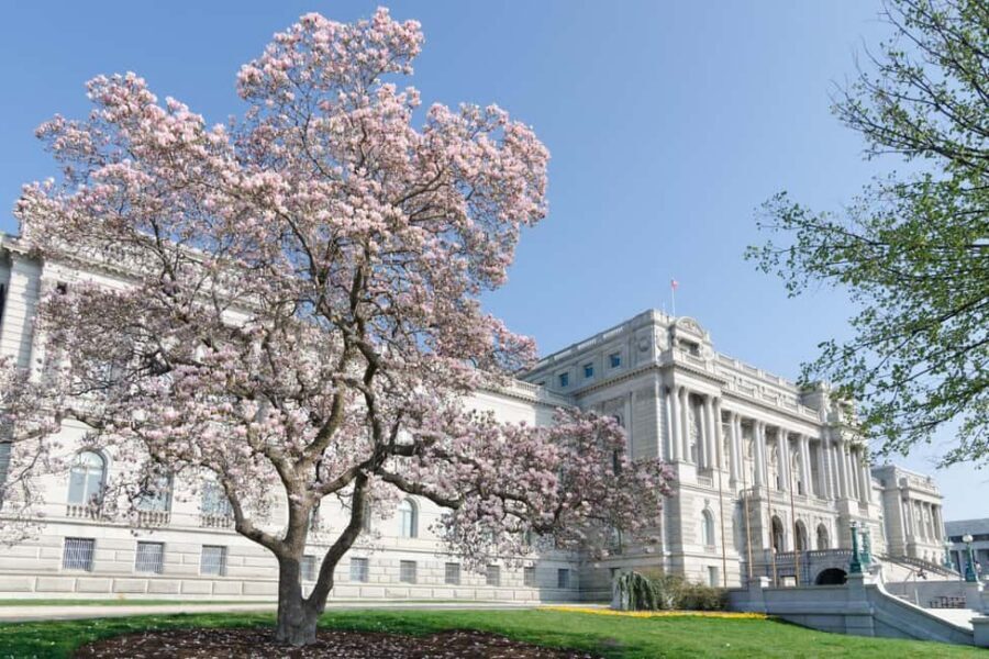 Washington DC: Library of Congress Private Tour with Tickets - Who This Tour Fits Best in Washington, D.C.