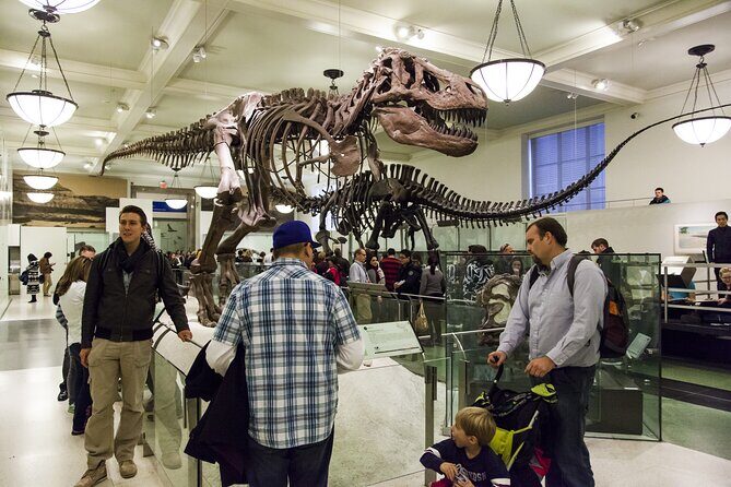 Washington DC Museum of Natural History Private Family tour - Key points to know before you go