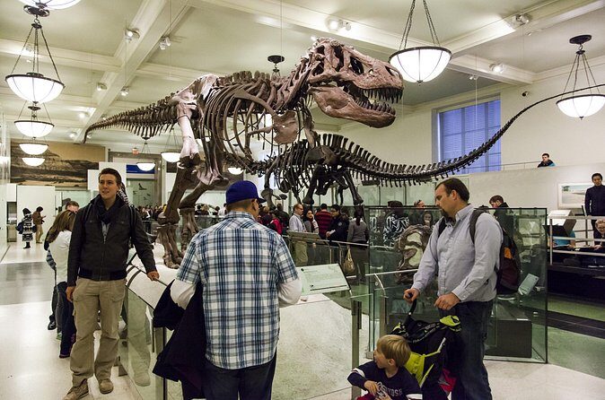 Washington DC Museum of Natural History Private Family tour - After the tour: using your extra museum time the smart way