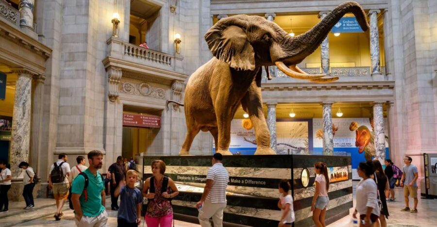 Washington DC: Museum of Natural History Private Guided Tour - Dinosaur Hall and the Mummies Exhibit: The Best Hits in Real Time