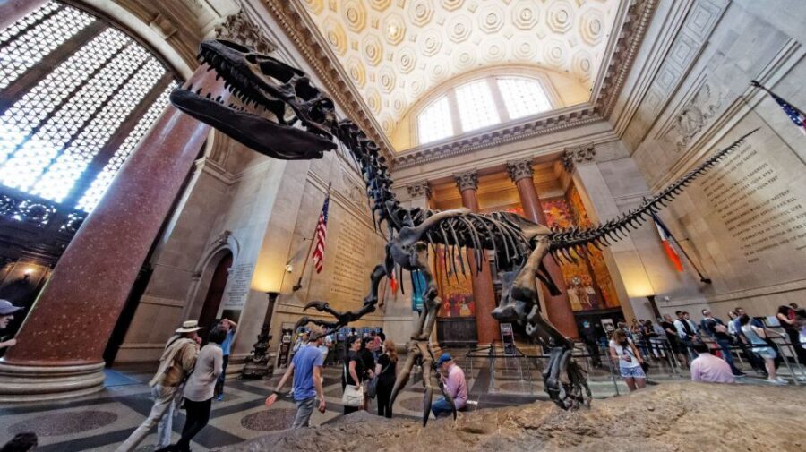 Washington DC: Museum of Natural History Private Guided Tour - What to Bring and How to Keep Kids Happy for 2 Hours