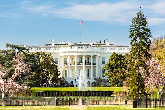 Washington DC Sight Seeing Private Tour-English or Spanish Option - What to know before you go: tickets, traffic, and weather reality